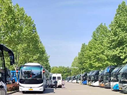 来中山陵步行怎么走能节省20分钟呢?如果要打摩记得一定要还价啊!#南京 #中山陵 #中山陵风景区 #南京旅游现状 #明孝陵