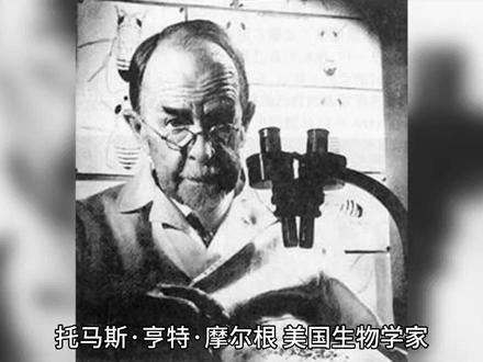 生物学家摩尔根