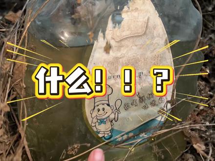 什么!!?原来苹果螺那么扛冻啊? #苹果螺 #苹果螺繁殖 #一般人不告诉他