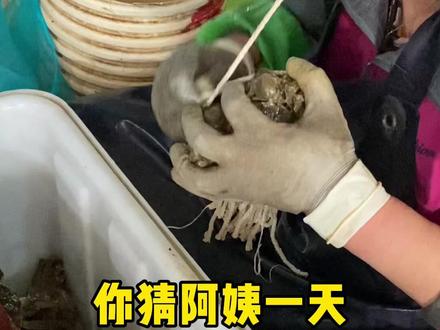 买回家的螃蟹跑了怎么办?阿姨教你来绑蟹 #螃蟹 #大闸蟹做法 #双十一购物清单 #大闸蟹