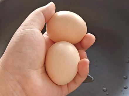 跟着蛋神煮鸡蛋,成功还是失败?#鸡蛋的神仙吃法 #煮鸡蛋 #跟着蛋神煮鸡蛋 #溏心蛋