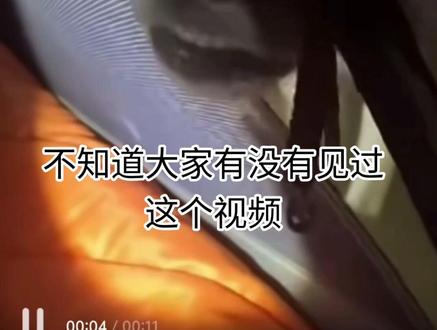 网络视频盯帧辟谣 (野营遇狼事件)#辟谣 #野营 #狼