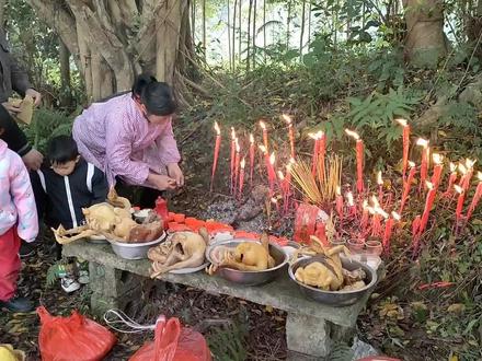 除夕夜杀鸡拜社公,一次杀两只,这样的风俗是不是全广西统一的?#祭拜祖先 #除夕 #抖音美食创作人