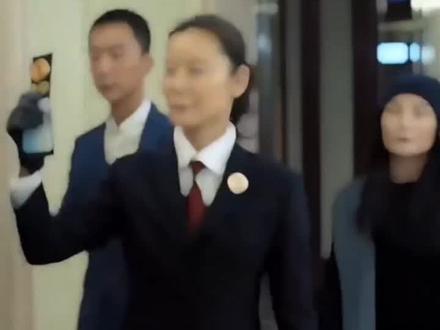 什么是提级巡视#人民的名义