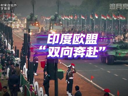 印度和欧盟“双向奔赴”了? #零基础看懂全球 #硬核深度计划 #理性看世界 #追月亮的小熊猫