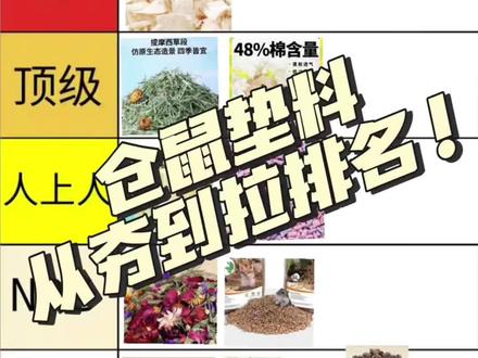 仓鼠垫料从夯到拉排名!!!
基于我自己的使用体验和大部分网友分享总结的一篇!有些垫料我自己用着很喜欢但是避雷贴太多我也会放到拉!有的人用着好有的人不喜欢按需选择,只是给大部分新手宝宝的参考哦~#金丝熊 #养鼠日常分享 #好物分享 #仓鼠垫料 #从夯到拉