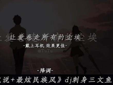 我听见你心中那动人的天籁 就忽如一夜春风袭来#dj降调#音乐分享