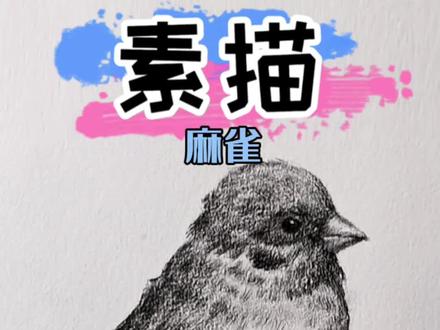 超简单的小麻雀画法#一学就会系列 #素描 #一起学画画 #零基础教学 #麻雀