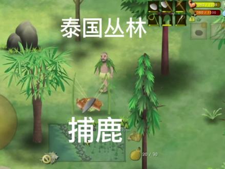 #挨饿荒野泰国丛林 #生存游戏双弹绳套陷阱,捕鹿地点。