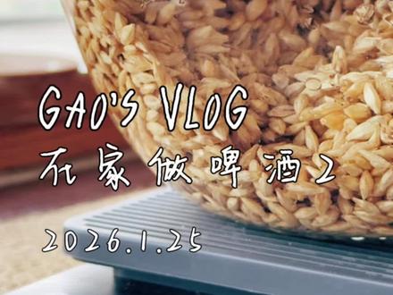 在家做啤酒2.0!我都等到没脾气了…… #自制啤酒 #艾尔啤酒 #精酿啤酒 #大麦发芽