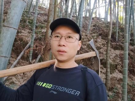 非常适合新手朋友的挖冬笋技巧,按照这个方法去挖想空军都很难哦#冬笋 #挖冬笋 #挖冬笋技巧 #挖笋技巧