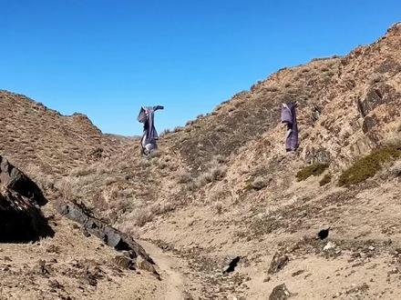 牧民生活中的小智慧 牧区的“防狼神器”#牧区生活 #防狼 #牧民日常