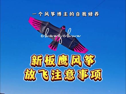 新板鹰风筝放飞注意事项 极速版 灵感由风友提供#板鹰风筝 #风筝 #一个风筝博主的自我修养 #明哥是个犟种