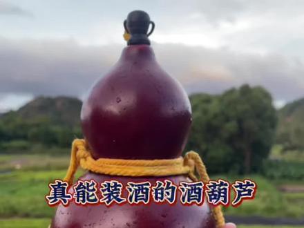 做个真正能装酒的酒葫芦,可不是蜂蜡酒壶哦#手艺人 #大漆酒葫芦 #酒葫芦