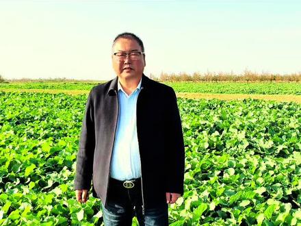 旺长油菜化控非常重要!