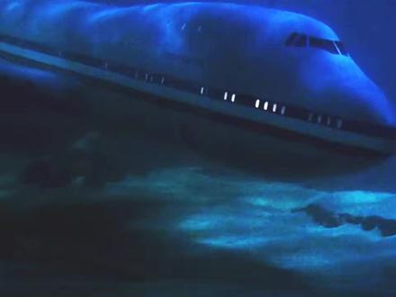 飞机沉入海底,乘客奇迹生还。