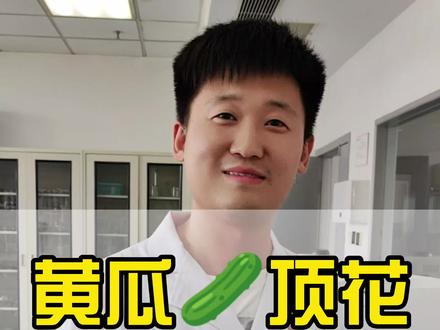 为什么超市卖的黄瓜根根都有花,好几天都不枯萎,网传是给黄瓜喷了避孕药,事实真的如此吗?#食品安全 #科普 #黄瓜 #民生