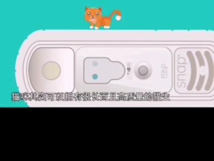 #猫咪第一隐形杀手
#猫心脏病
痛心,生命的离去就在一瞬间