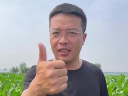 蚜虫防治小妙招,便宜又好用#玉米种植技术#东亚小钢炮 #三农