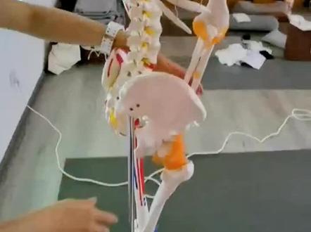 Model白的骨盆区域骨性标记来啦~#瑜伽教练培训班
