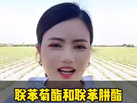 联苯菊酯和联苯肼酯用于防治红白蜘蛛效果可不一样啊#三农 #抖音助农 #红蜘蛛防治 #杀螨剂 #农业种植 #盛利丰农业 @DOU+小助手 @抖音小助手