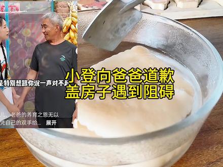 麦小登哽咽着向爸爸道歉,房子还没盖成!人性最大的恶就是见不得别人好!嫌你穷,怕你富,恨人有,笑人无!#麦小登 #人性