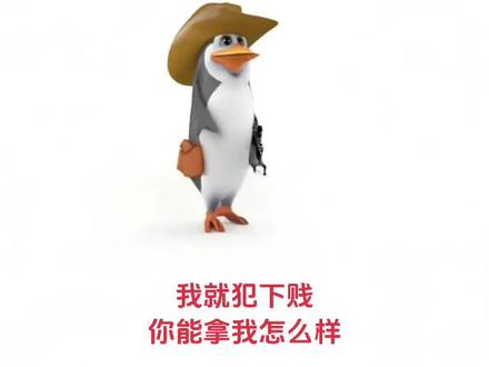 我就这样,你能拿我怎么样#企鹅 #企鹅表情包