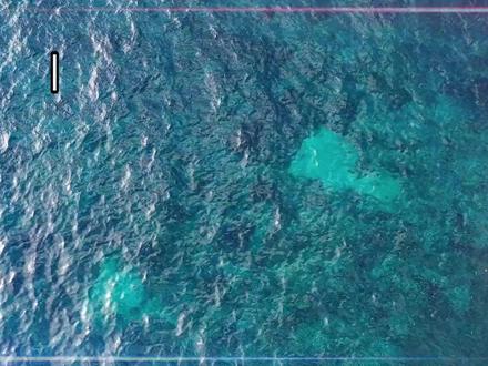 今天给大家展示一波如何一小时速通四级(扭转乾坤版) #四六级 #四六级考试 #四六级备考 #四六级备考攻略 #大学生