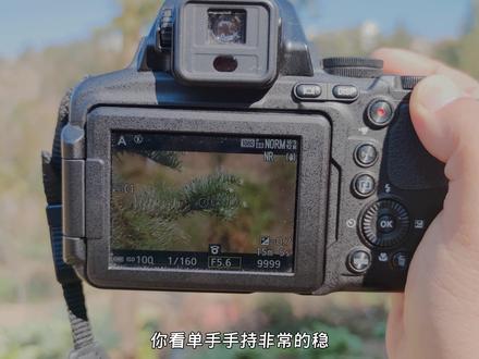 #拍出电影感 古董尼康长焦,还能不能拍出好画面?#摄影教学 #取景器里的世界 #尼康长焦机 #P900