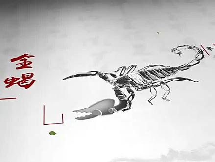 科普中药:《蝎子》息风镇痉、通络止痛、攻毒散结,毒虫也是药