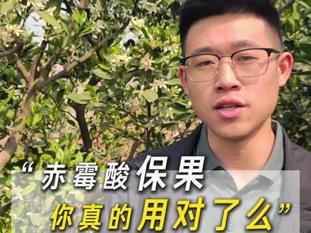 用赤霉酸保果,你真的用对了吗?#赤霉酸#保花保果#金秋砂糖橘#柑橘#柑橘