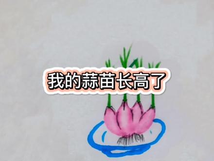发芽的大蒜是个宝,这样做,开启孩子科学探究的历程吧!#画发芽的大蒜#萌知计划#零基础学画画 #学前教育 #育儿 @抖音青少年 @DOU+小助手