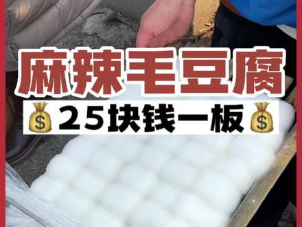 麻辣毛豆腐你吃过吗 毛茸茸的到底是啥味#民间传统美食 #路边摊美味 #抖音美食推荐官 #城市里的烟火气 #冬日的人间烟火都在路边摊