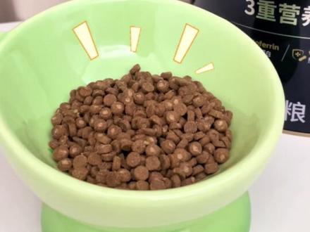 自制pop猫纸拼豆摇摇乐挂件!
还有好吃的猫粮~
#手工 #拼豆 #自制玩具 #猫meme #像素