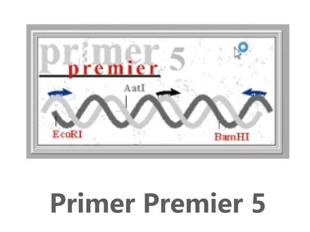 Primer Premier 5安装教程引物设计序号对比软件,打开闪退解决方法
#引物设计 #生物学软件 #序列分析 #安装教程 #科研软件 #生物学