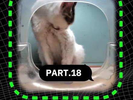 网络上最奇怪的网站第18期 #网站推荐 #奇怪