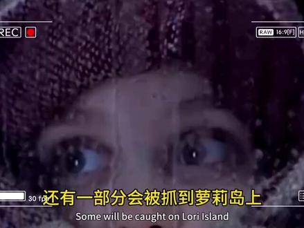 萝莉岛的孩子 #萝莉岛 #爱泼斯坦