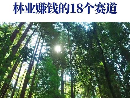 2026年林业赚钱的18条路径,总有一条适合你! #林业经济 #乡村振兴 #森林康养 #林业 #热门话题