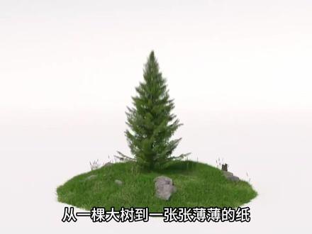 现代造纸工艺的全过程 #造纸 #造纸术 #科普一下