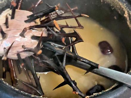 药膳-皂角刺炖猪心 #中药养生 #滋补养生 #中药调理