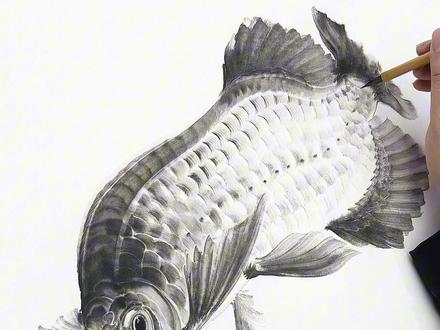 画龙鱼 只因为在鱼群中多看了一眼,我就学会了画鱼眼#国画 #画画 #艺术 #传统文化 #水墨画