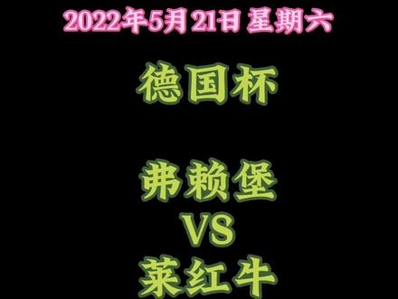 弗赖堡VS莱红牛#足球 #德国杯