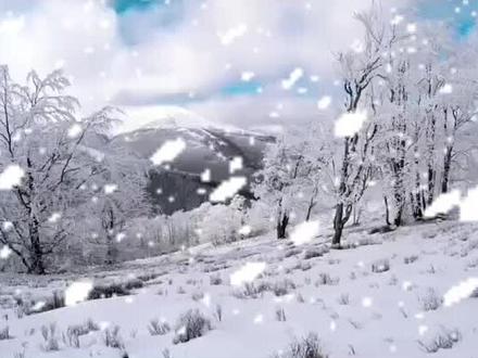 《冬雪吟》
祁连雪岭接天苍,
冻壑冰河野径长。
万顷霜田披素氅,
千株瘦木立寒荒。
风欺土壁声如裂,
鸦掠冰棱影欲僵。
莫道边村无暖意,
炊烟袅袅唤春藏。