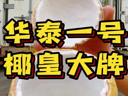 椰皇中的大牌,华泰一号,就是价格高,一分价格一分货#椰皇 #泰国椰皇 #源头好生鲜 #椰子 #高端水果