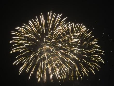 谁懂啊朋友们!!!不知道大年初七是否有人跟我一样踩雷 所谓的烟花秀 到了马路边所有人都只能步行进去 都在吐槽这个烟花秀 走得累死累活的终于到了燃放点 开始了 没有很震撼 就平时看到的那种烟花堆在一起放 看完之后忐忑的心情想着又要走出去了 结果所有人都淋着雨出去 有的路人都是从很远过来看的 真是太惨了🫣