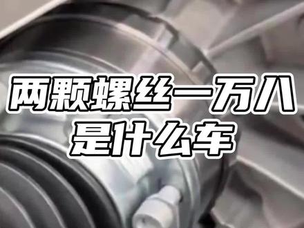 两颗螺丝一万八是什么车?#两颗螺丝一万八是什么车 #新能源