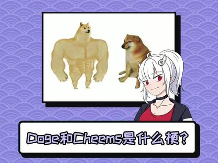 《Doge和Cheems》#doge #cheems #柴犬 #梗知识