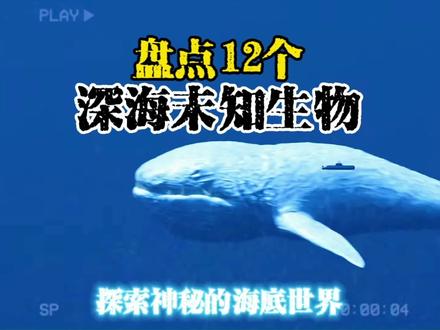 盘点12个深海未知生物,最后一个超出认知 #深海 #未知生物 #猎奇 #怪兽 #深海恐惧症