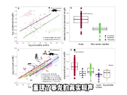 暴龙的真实叫声😱😱😱##暴龙 #抽象#猎奇#奶龙