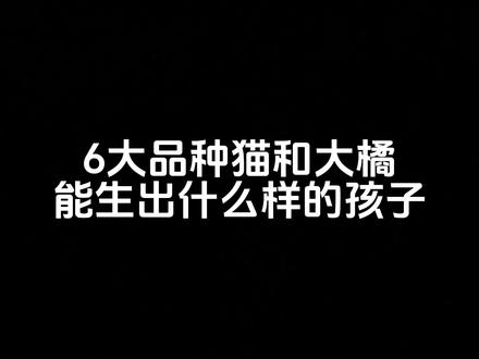 #银渐层和大橘的孩子 #金渐层和大橘的孩子#蓝猫和大橘生的孩子 #布偶和大橘的孩子#虎斑和大橘的孩子、、看不懂自己什么猫可以发评论区我了回答、不懂的问我、那家猫是不是这样😁